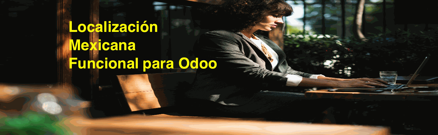 Odoo CMS - una imagen grande